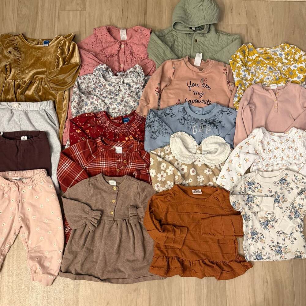 Baby Girls Clothing Lot Size 6-12 Months Dresses Tops Bottoms